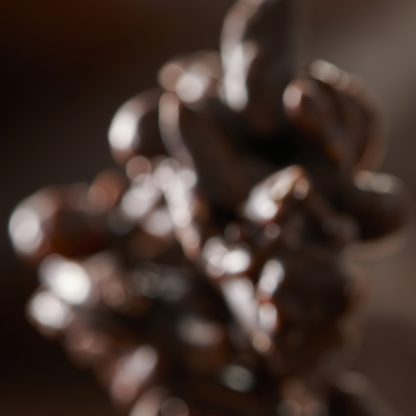 Les Rochers Suisses Chocolat Noir et au Lait